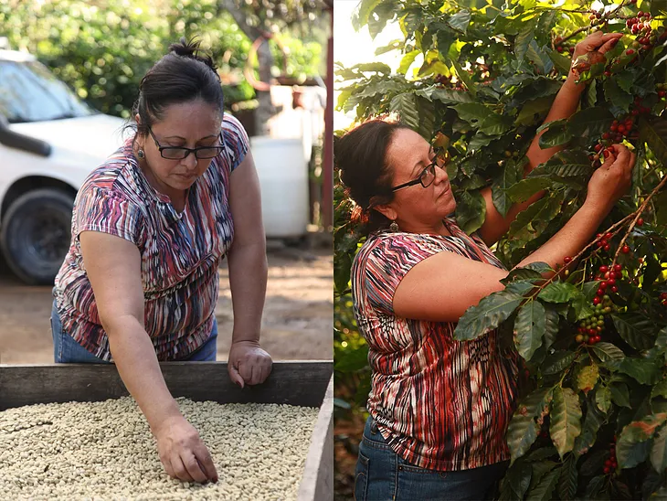 Alexa Marin — Cuentos from the Coffeelands, October 2017