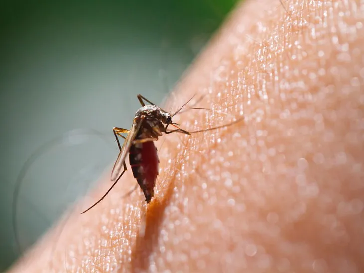 Malaria: A Persistent Global Health Challenge