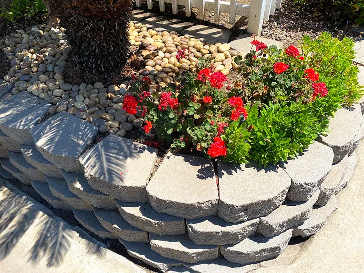 Landscaping with rocks as ground covere.