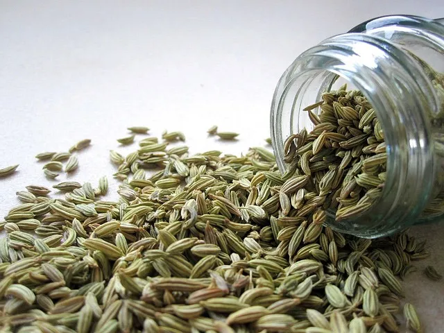 Fennel Seeds: Benefits and How to Drink Them for Weight Loss