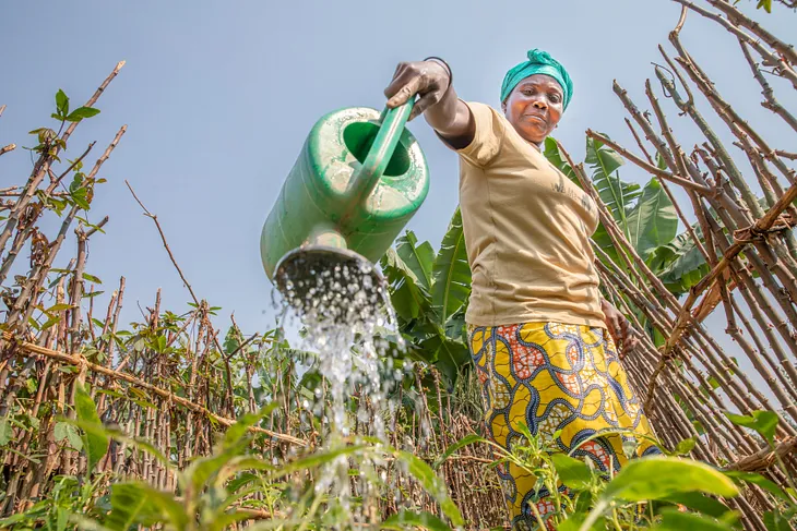 Adapting to a new reality (4): Introducing our Climate Adaptation & Resilience Framework