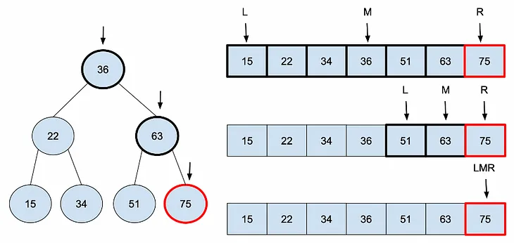 Exploring the Fascinating Patterns of Binary Search