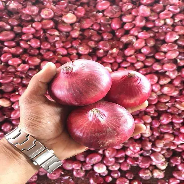 ONIONS FOR HAIR GROWTH