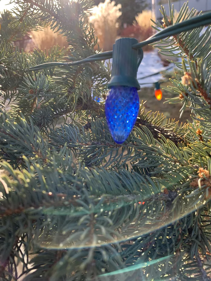 Close up photo of blue Christmas bulb on fir tree