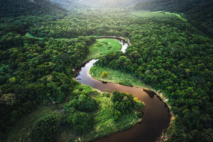 Amazon Forest - The Largest Tropical Rainforest in the World