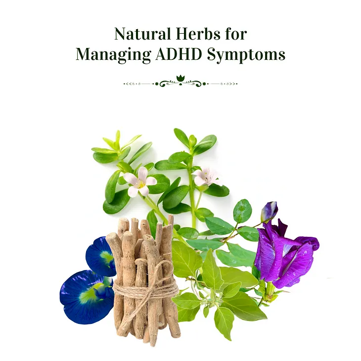 Natural Herbs for Managing ADHD Symptoms