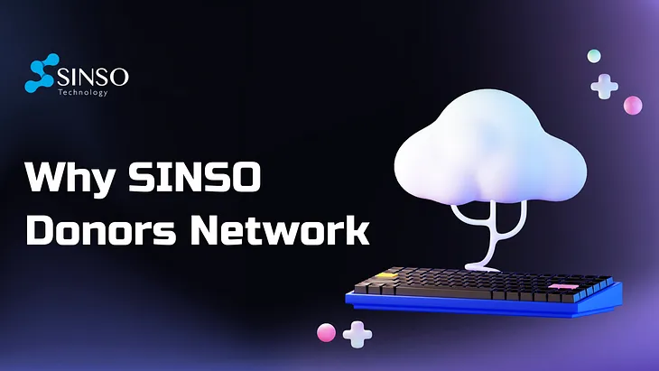 Why SINSO Donors Network (II)