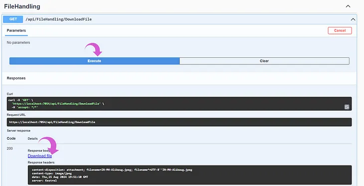 How to Easily Download File from AWS S3 with a .NET API