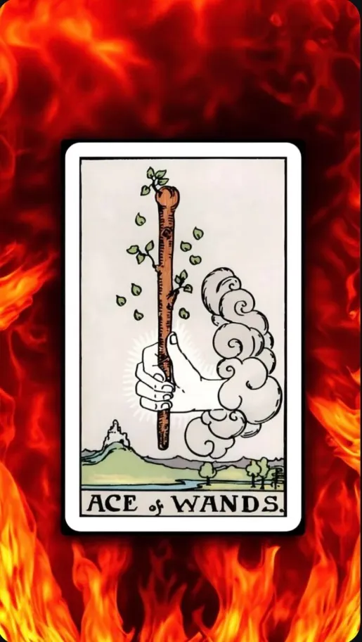 The Ace of Wands