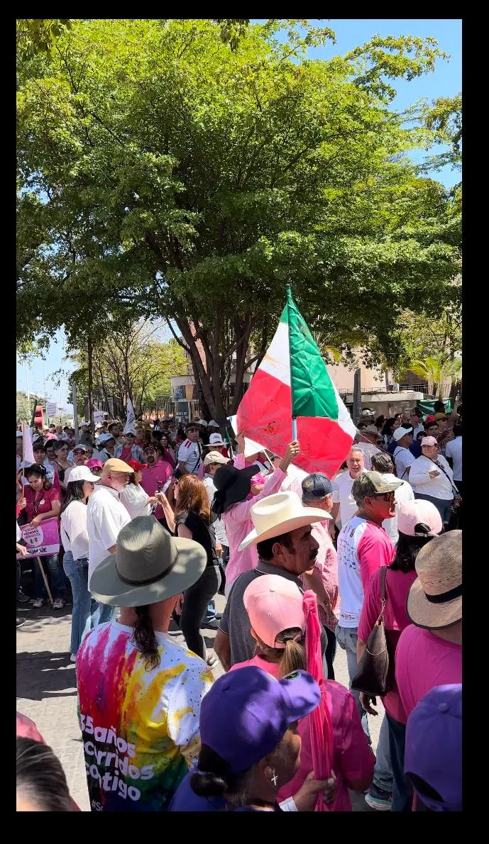 Demonstration in the city of Culiacán, Sinaloa of the civic group known as the pink tyde.