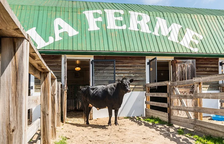 General Farm Workers with Visa Sponsorship in Laval, Canada