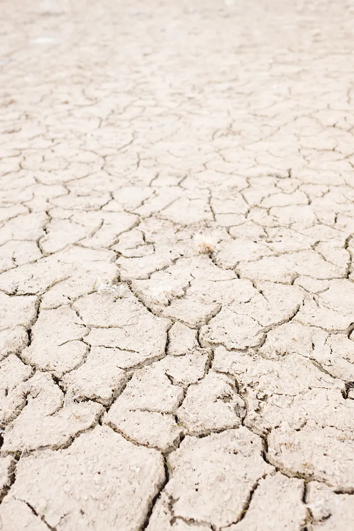 A close up of dry, cracked eartk with no other details visible.