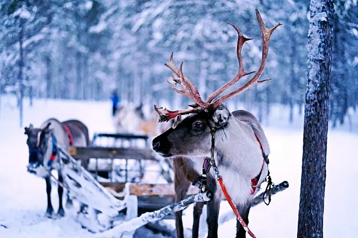 Donner and Blitzen: the real story