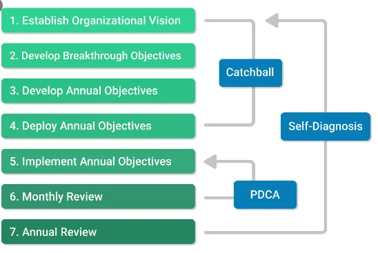 Seven Step Hoshin Kanri Framework