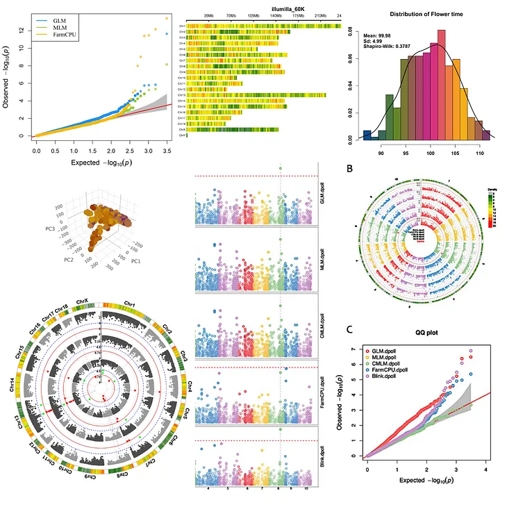 PB-GWAS: A shiny app for Streamlined GWAS Analysis in Just 4 Clicks 🧬