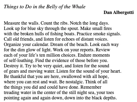 Things To Do In The Belly of The Whale