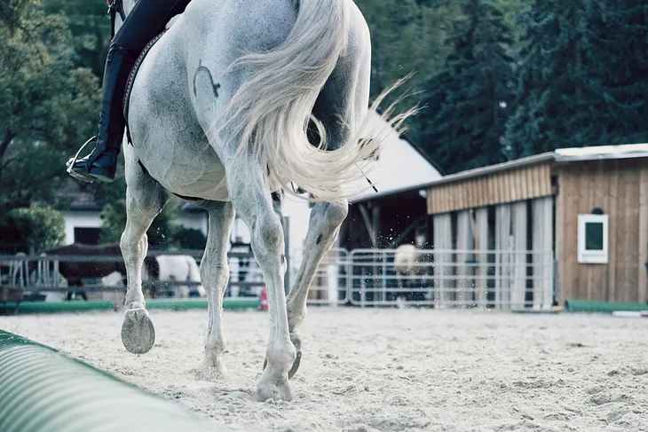 Steer the Horse