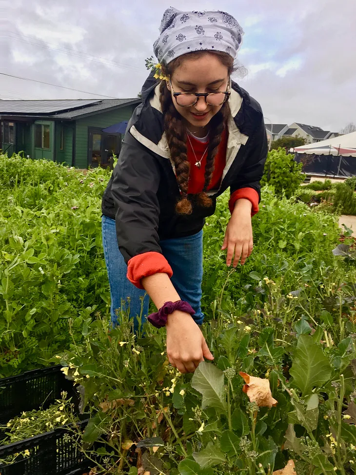 Judaism through Building a Relationship with the Earth — Avital Krifcher