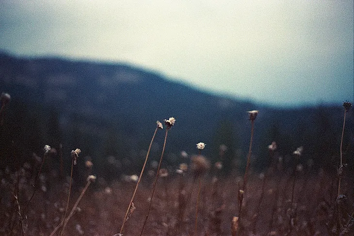 Stick Season in the Methow Valley