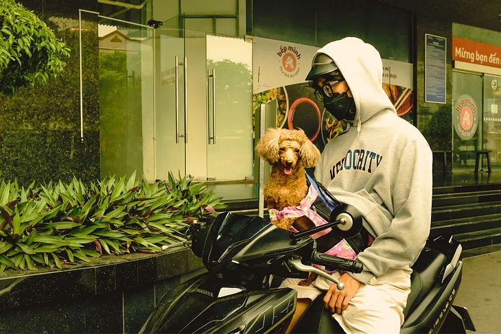 The Day a Dog Became My Biker Buddy