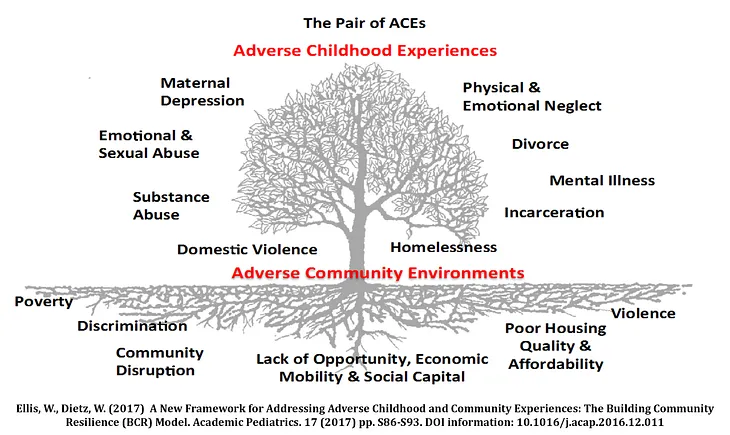 Understanding the Role of Supports and Buffers in Community Resilience