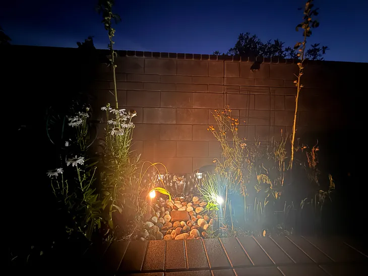 Garden Work and Serendipity