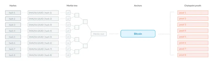 How to Verify DEC Institute Certificates on the Bitcoin Blockchain