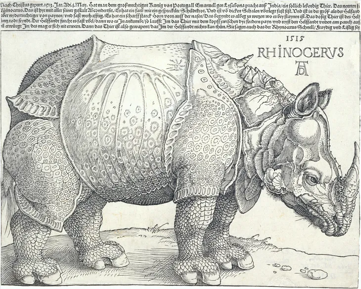 Great Art: The Rhinoceros by Albrecht Dürer