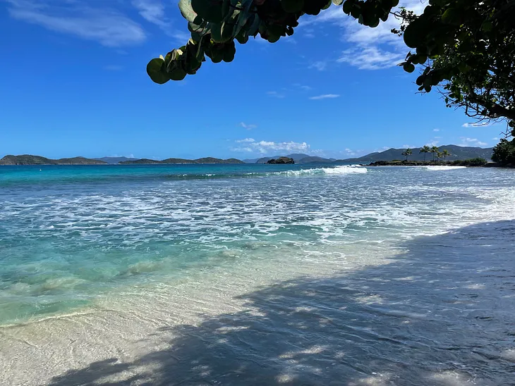 The Sparkling Blue Waters of Sapphire Beach Are Stunning