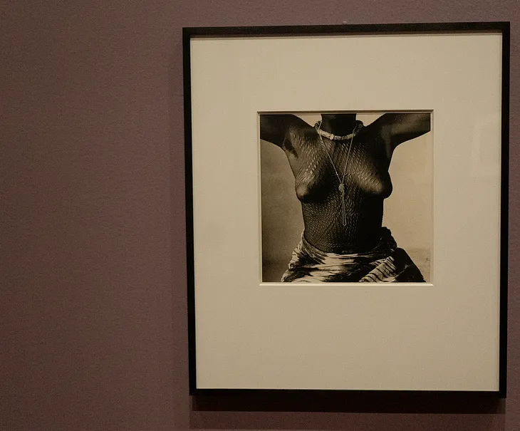 The Photographs of Irving Penn