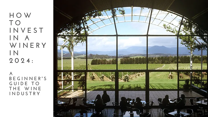 How to Invest in a Winery in 2024: A Beginner’s Guide to the Wine Industry