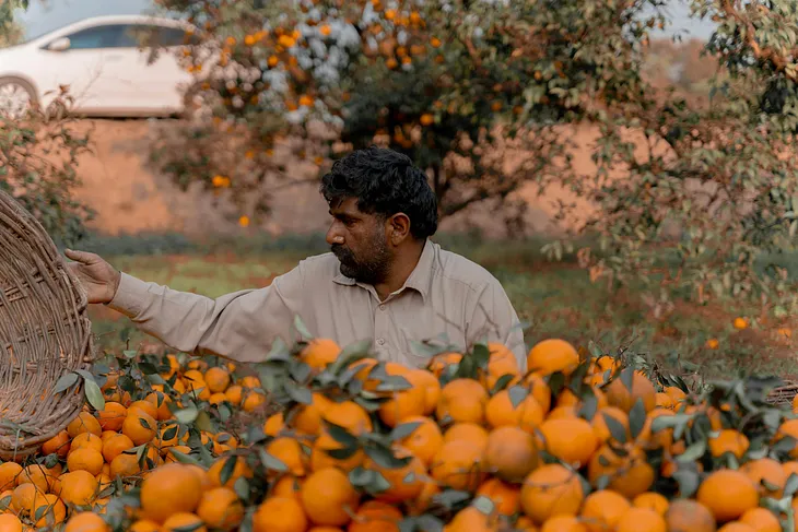 The Best Fruit Sites of Pakistan : A Journey Through the Land of Bounty