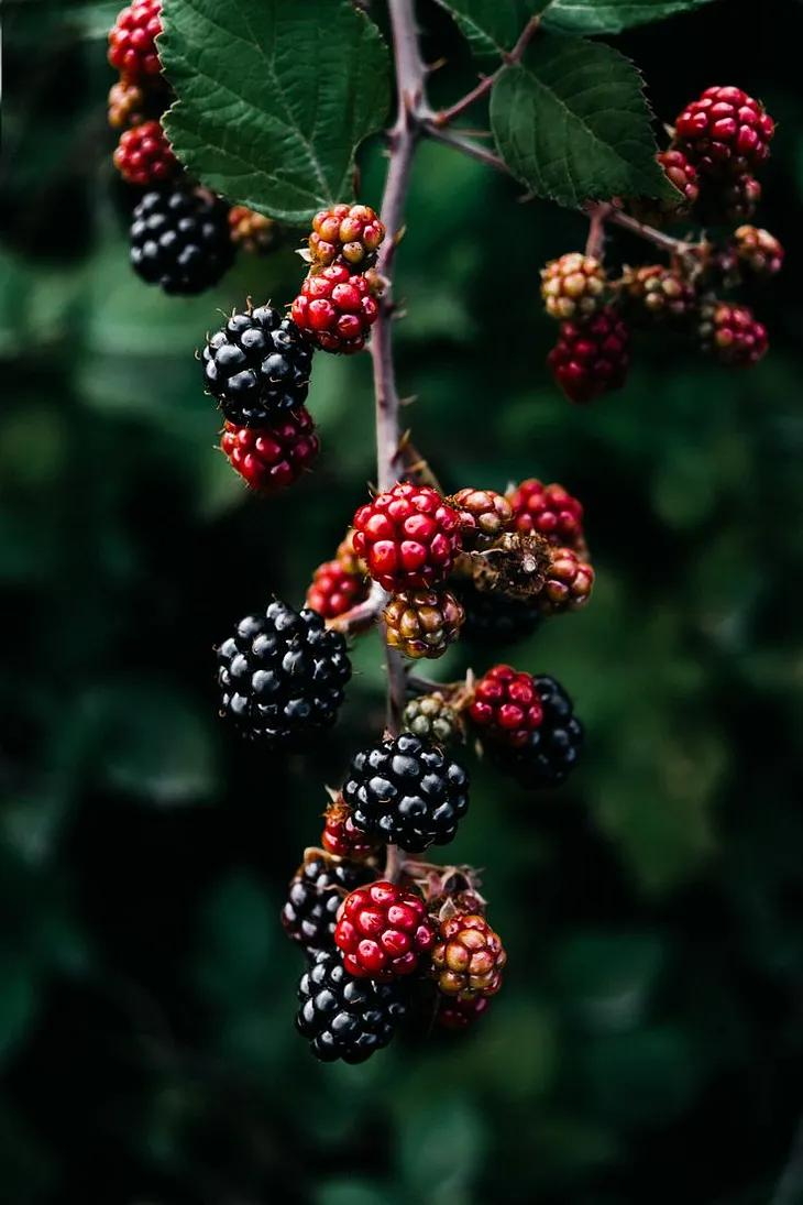 Some “Berry” Nice Magick