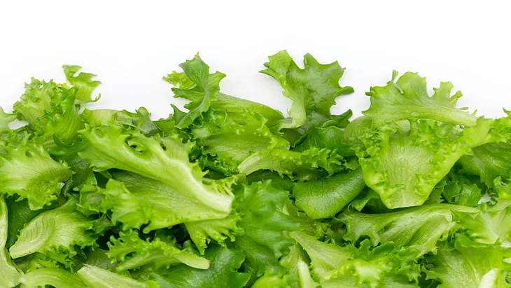 Is it safe for dogs to eat lettuce?