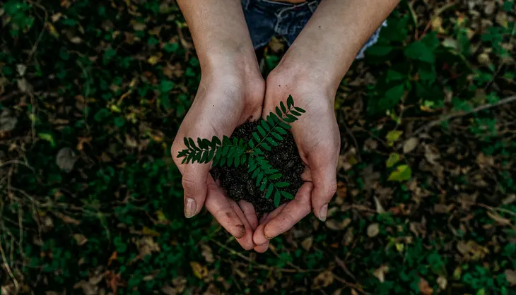 Patagonia and B Corp Community Co-Create a New Model of Capitalism