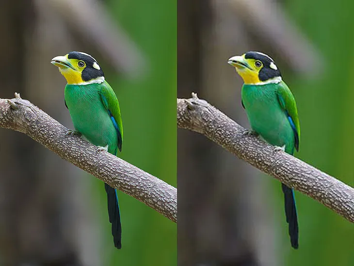 Understanding Image Compression: Techniques and Algorithms