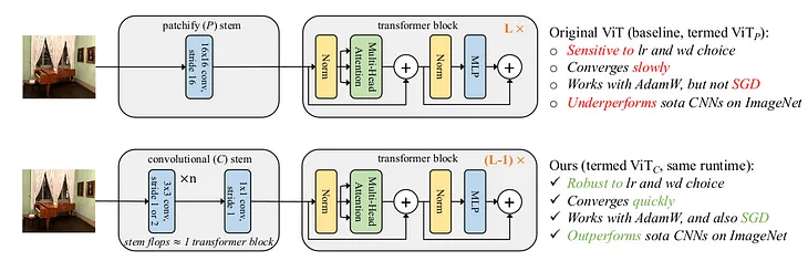 The power of Convolution in Vision Transformer