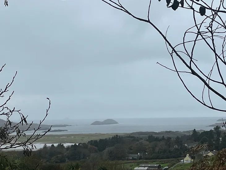 photo divided into fifths. The sky is light blue-grey and misty and it is hard to distinguish the horizon from the sea below. There is an isthmus across the sea. The picture is framed by two bare trees in the foreground on either side. There is a prominatory piece of land jutting out to the sea which is a light green. There are houses and trees visible on the way down to the sea.