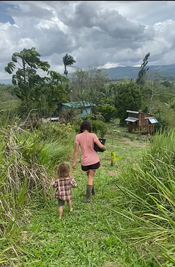 Starting a Homestead in Costa Rica: Figuring Things Out Along the Way