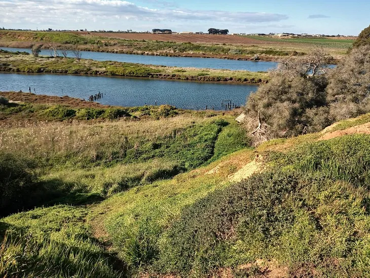 Werribee Walks at Werribee River Park