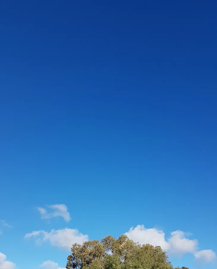 Blue Sky, and A Breeze, Washing Day!