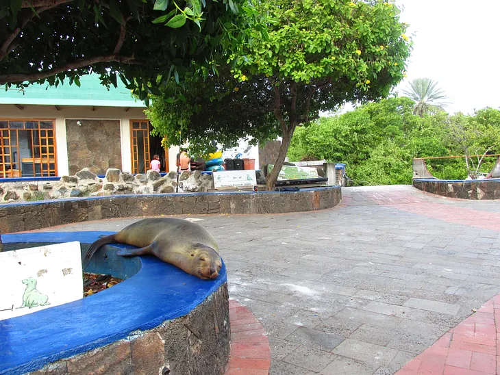 How to be Glamorous (yet cheap) in the Galapagos