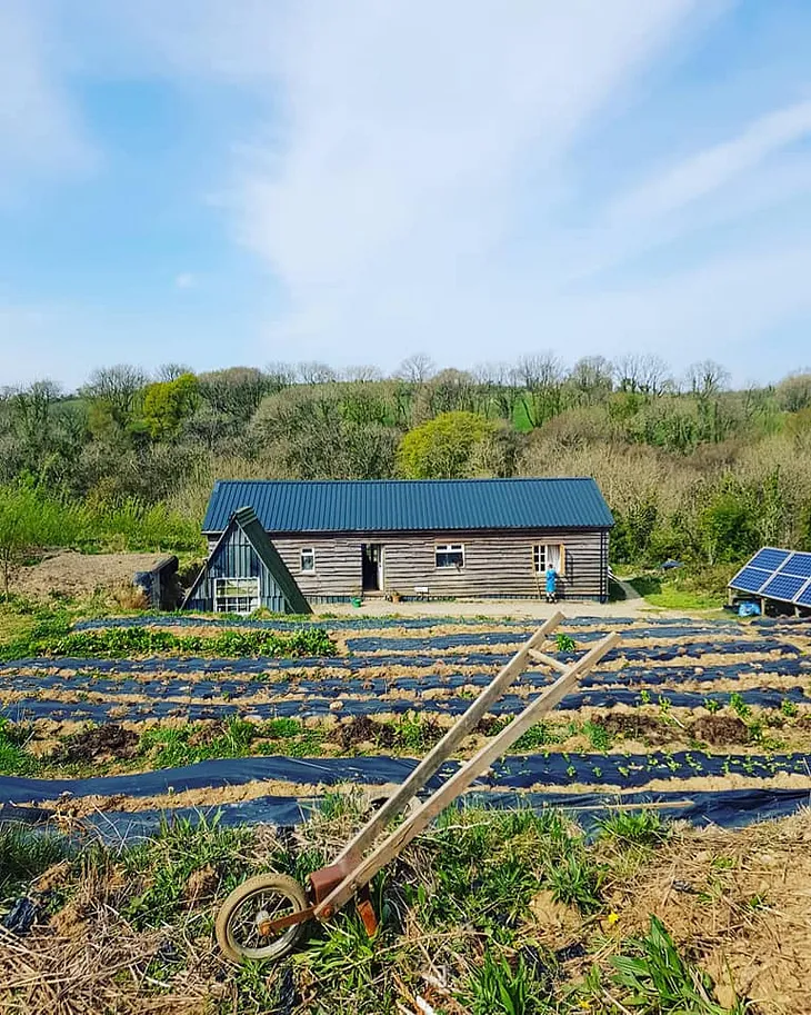 The Straw Bale Cabin