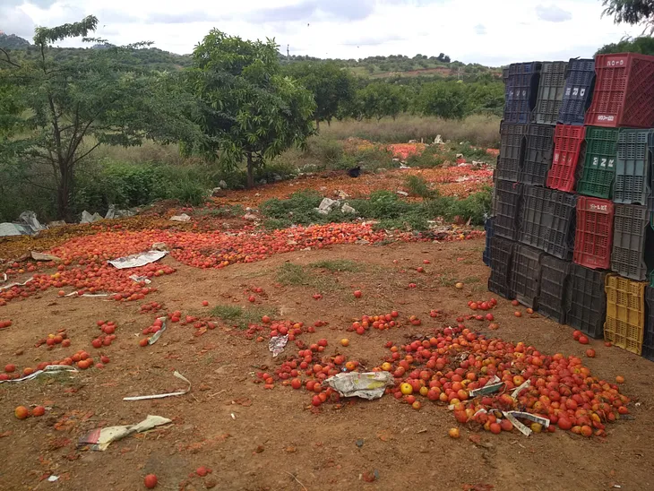 Field Notes from Anantapur’s Tomato Markets