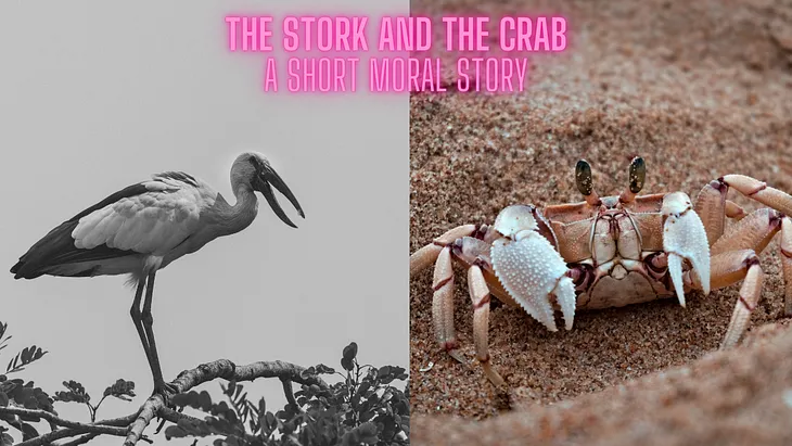 The Stork And The Crab