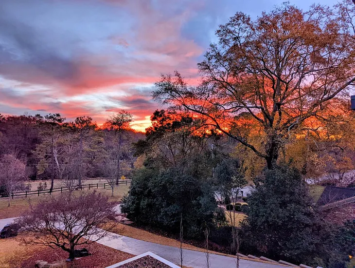 Vivid sunrise with red-colored clouds and trees in foreground. This is a sunrise, not a sunset. A new day is calling | The view from my front porch