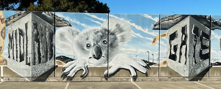 Artwork of a Koala gripping the edges of a concrete carpark