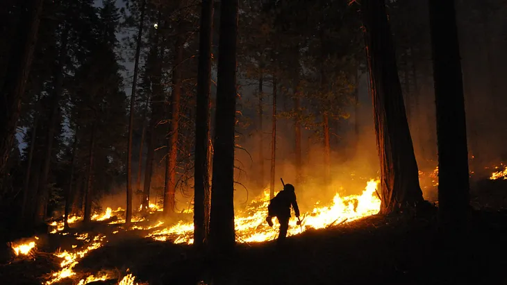 Climate Change and Fire in California: Alternatives