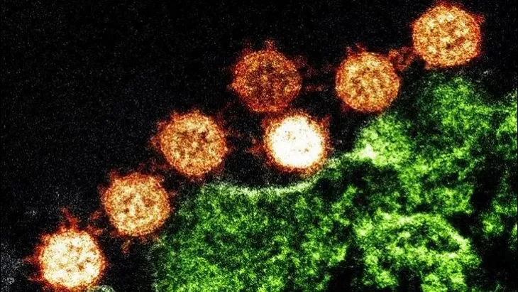 Ask Ethan: Couldn’t COVID-19 have originated in a Chinese Lab?