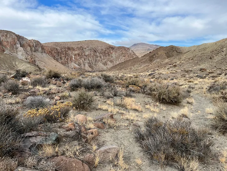 A Dry Desert Hike on the Winter Solstice